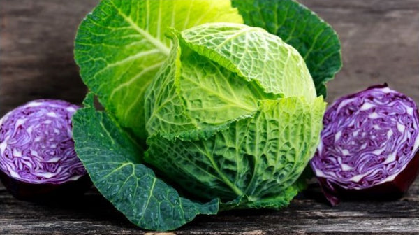 Red Cabbage Vs Green Cabbage – Which Is Better?